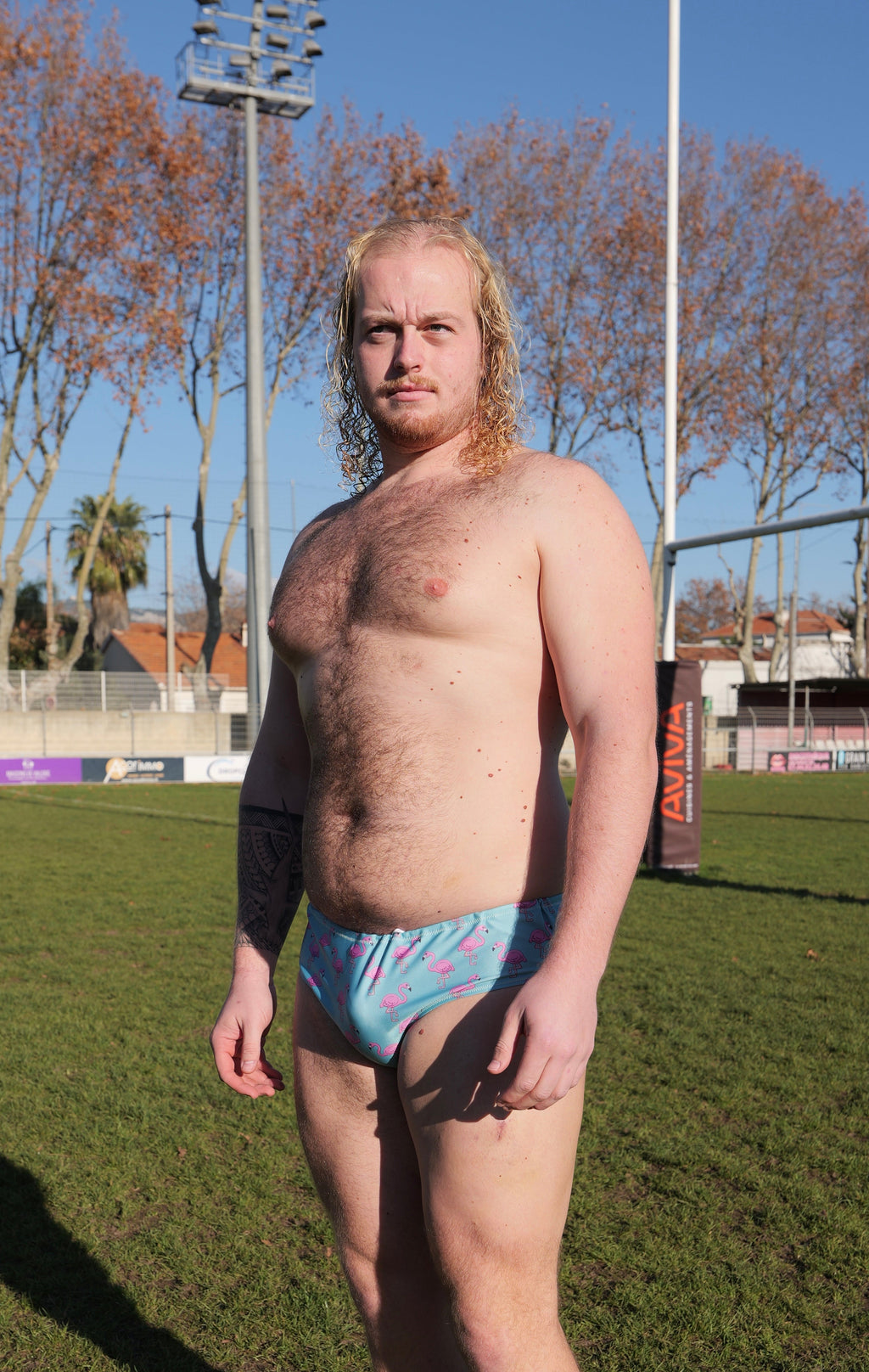 Moule-paf Le flamant rose Vilain Coq