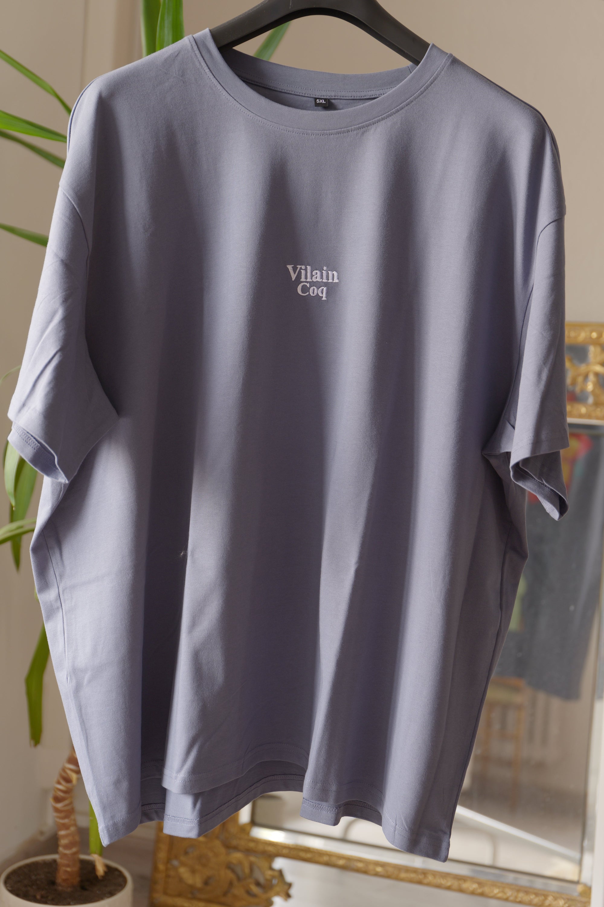 T-shirt P'tit mec Vilain Coq